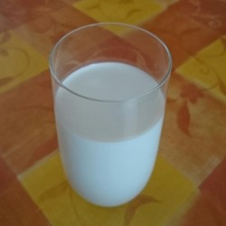 Unverträglichkeit Milch